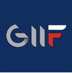 Logo General Inspector of Financial Information