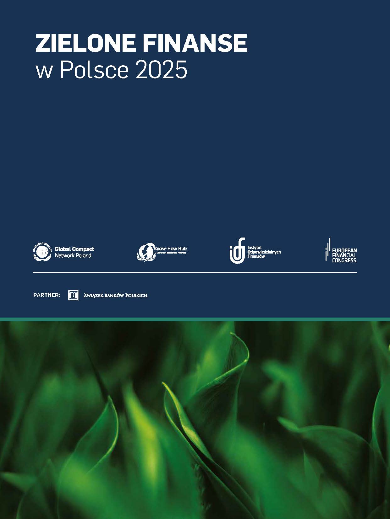 Okładka publikacji: Finansowanie w formule sustainability linked loan jako narzędzie zrównoważonej transformacji przedsiębiorstw
